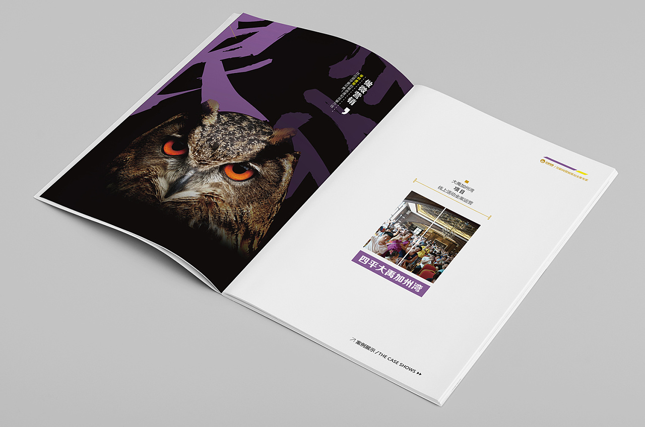 集团宣传册制作,吉林企业画册设计制作案例,集团互联网产品画册设计
